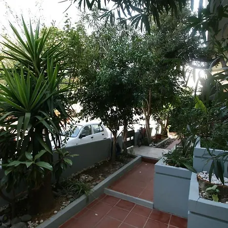 Penthouse Oasis